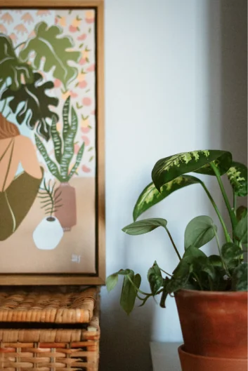 A house plant beside a framed botanical illustration